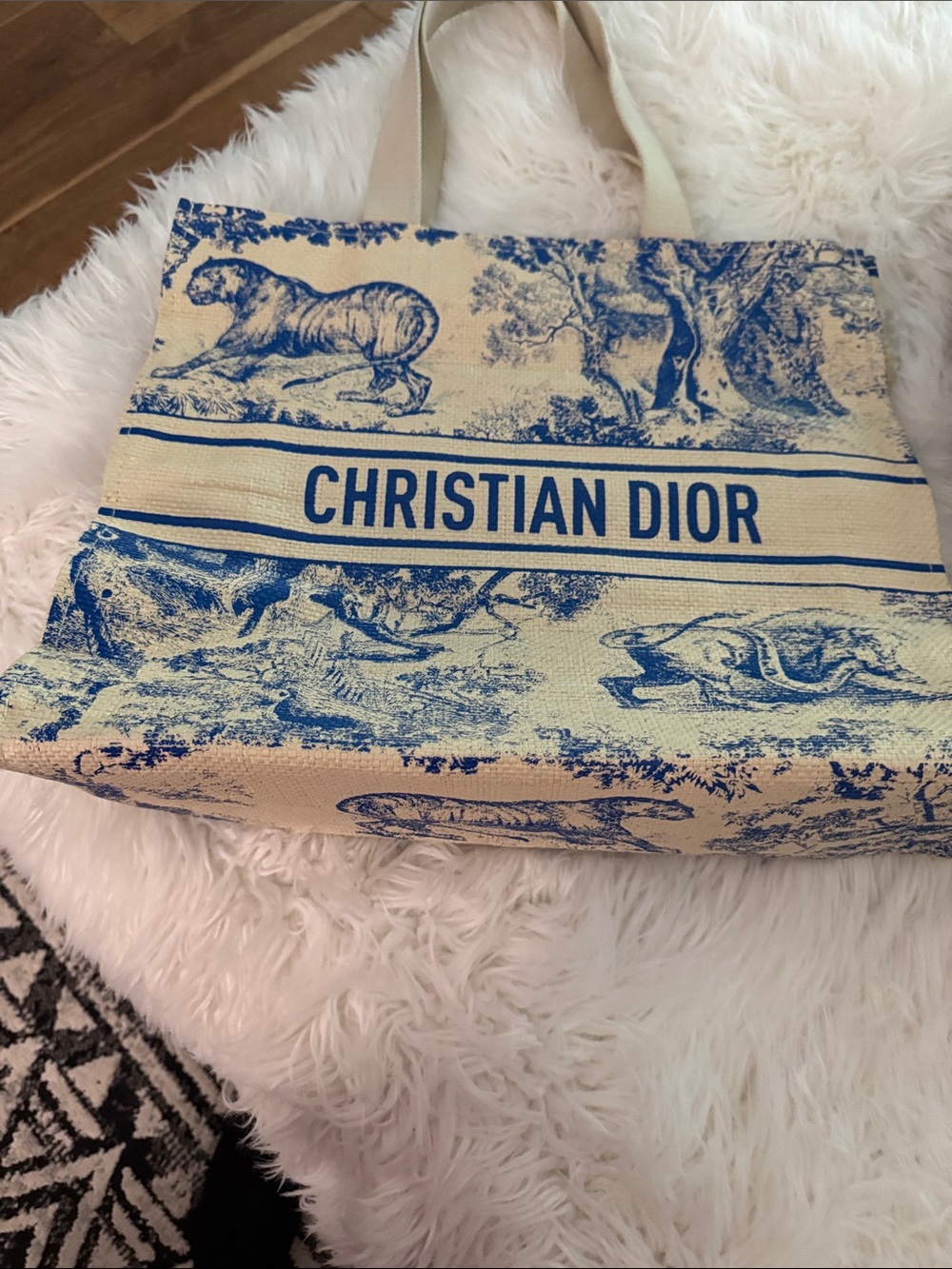 Christian Dior Blue & Cream Toile Canvas Tote